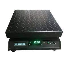 Portable Scale